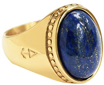 Rock and Steel Gold Deus Siegelring Männerring aus Edelstahl mit Lapislazuli Stein, Herren-Ring (69 (22.0 mm))