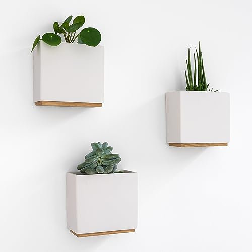 Kazai. Wandvasen -Alma- | Moderne Hängende Blumentöpfe für die Wand | 3-teiliges Übertopf-Set aus hochwertigem Resin für Zimmerpflanzen, Kunstpflanzen, Blumen u.m. | Crème