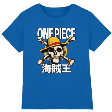 Netflix Boy's One Piece Jolly Roger Kids T Shirt
