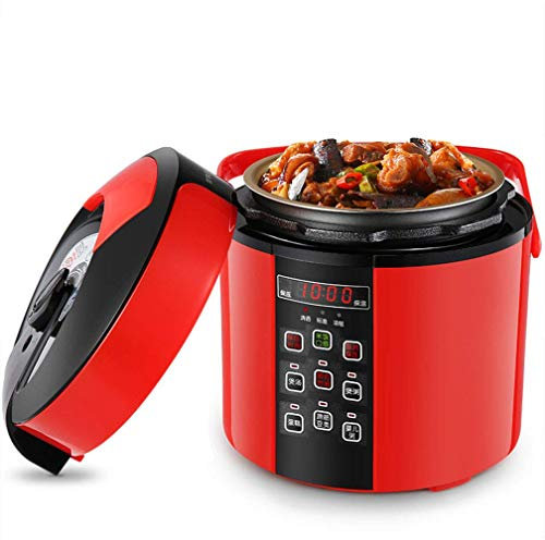 FZYE Mini Olla arrocera pequeña, vaporizador de Alimentos, máquina para Hacer Sopa con Temporizador Inteligente de Citas con espátula y Taza medidora