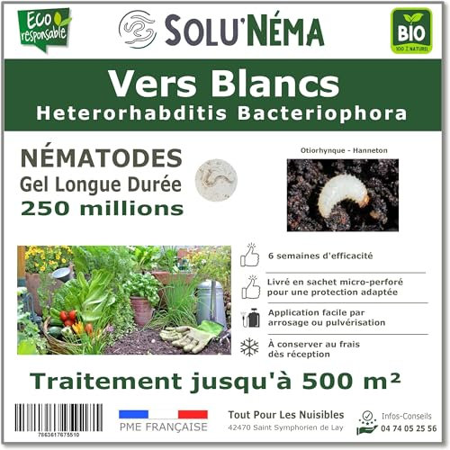 SOLUNEMA - Nématodes Contre Les Vers Blancs 250M Longue Durée
