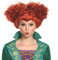 Disguise Hocus Pocus Adult Deluxe WINI Wig Standard