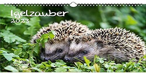Igelzauber DIN A3 Kalender für 2023 Igel - Seelenzauber