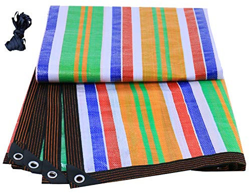 OKUOKA 10x12 telone per Piscina Tenda a baldacchino Telo Esterno in plastica Antivento Antipioggia con Occhiello, 1 Metro 1 asola (Dimensioni: 13,12X19,68ft/4X6m)