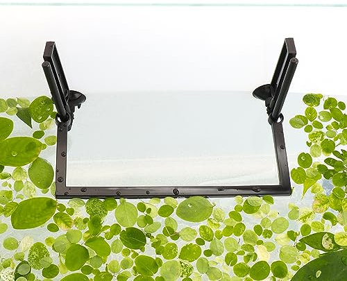 Aquarium Filter,Aquarium Floating Plant Corral,Fish Tank Accessories,Fish Tank Decorations,Fish Feeder,Adjustable Height with Water Level,Aquarium Feeding Ring,Improve Water Quality (Style one)