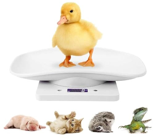 15kg Pèse-personne numérique Pèse-animaux avec écran LCD, 4 modes de pondération pour animaux de compagnie et cuisine pour mesurer les petits chats, les chiens, la nourriture, capacité jusqu’à 15 kg