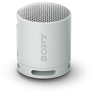 Sony SRS-XB100 - Enceinte sans Fil Bluetooth, Portable, légère, compacte, Durable, IP67, étanche à l'eau et à la poussière, Batterie 16H, (Reconditionné)