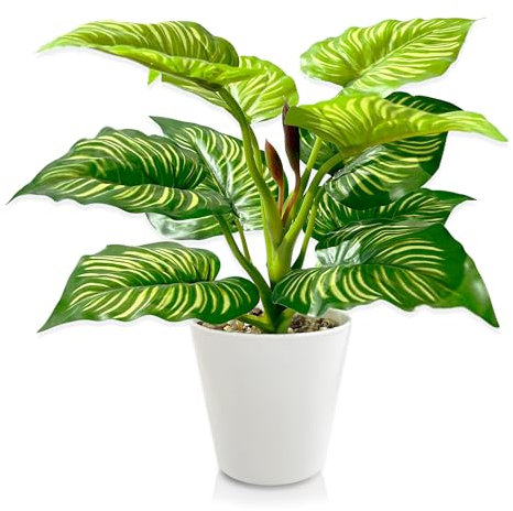 TINA Künstliche Pflanzen Klein wie echt 28cm Kunstpflanze Plastik Pflanze Deko Zimmerpflanzen Künstlich Dekopflanzen Grünpflanzen Fake Plant für Badezimmer Wohnzimmer Innen- u Außenbereich (Typ B)