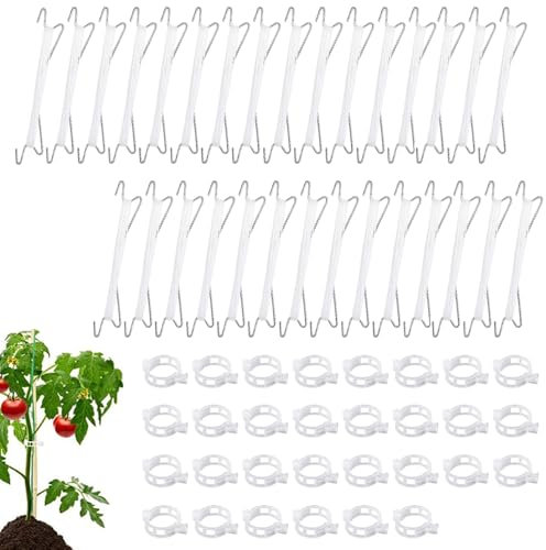 HIQE-FL 30 Stück Tomatenhaken Metall mit 30 Pflanzenschnalle & 10 m Seil,Tomatenpflanzenhalter, Garten Clips,Tomatenstützhaken,Geeignet zum Fixieren von Pflanzen(B)