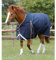 wasserdichte Outdoor-Decke für Pferde original Premier Equine Buster Original 50 g