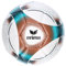 Erima Kinder Fussball HYBRID Lite 290 7501031 5