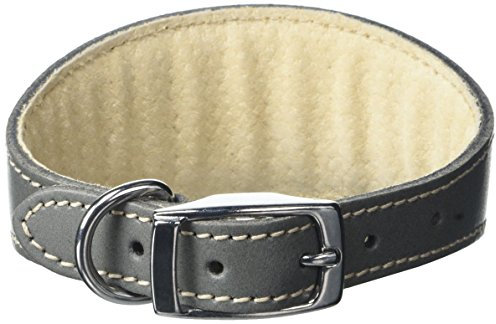BBD Pet Products Whippet-Halsband, Einheitsgröße, 1,9 x 25,4 bis 30,5 cm, Grau