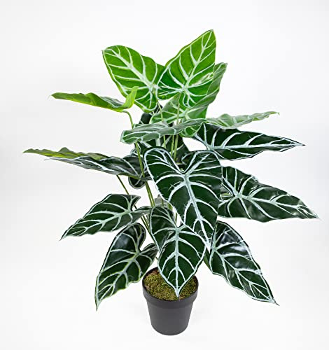 Seidenblumen Roß Black Taro Pflanze Real Touch 60cm im Topf ZJ Kunstpflanzen künstlice Pflanzen Schwarze Colocasia