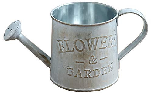 Mini Pot de Fleurs en métal en Forme d’arrosoir Récipient pour arroser Style Vintage,arrosoir pour Fleurs et Plantes,décoration Domicile, Jardin, Balcon, décoration (Blanc)