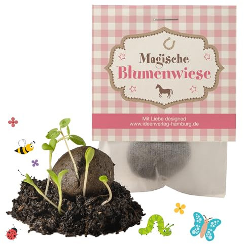Ideenverlag HAMBURG 10x Pferde Samenbomben Kindergeburtstag/Pferde Mitgebsel Pferdegeburtstag Geschenke Mitgebsel Saatbomben Kinder Kleinigkeiten