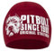 Sportmütze Wintermütze für Herren von Pit Bull West Coast mütze Blood Dog