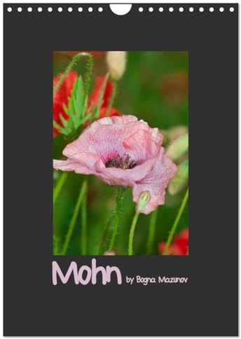 Mohn (Wandkalender 2026 DIN A4 hoch), CALVENDO Monatskalender: Klassischer Mohn in vielen Auftritten (CALVENDO Natur)