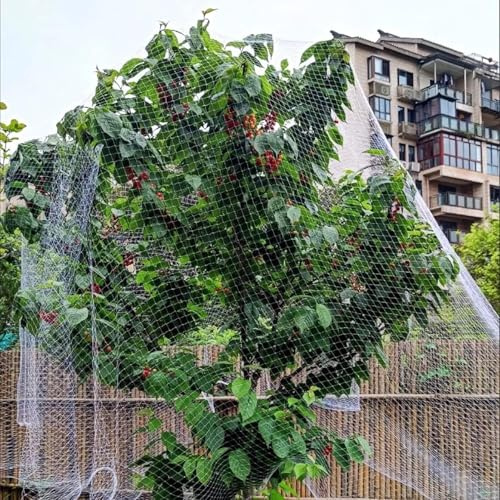 Robustes Vogelschutznetz for Obstbäume/Pflanzen/Erdbeeren, großer weißer Kunststoff-Gartenzaun, Tierzaun, temporärer Zaun, Hühnerzaun(15x15m/49.2x49.2)