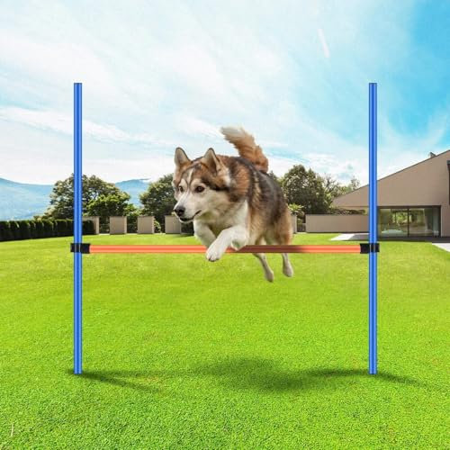 Pawise Pet Dogs Outdoor Games Agility Exercise Training Equipment Agility Starter Kit Jump Hoop Hurdle Bar
