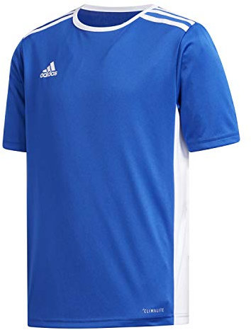 adidas Boy's Entrada 18 Jsyy JERSEY SHORT SLEEVE , Boblue/White, 152 UK