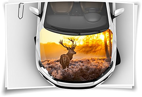Medianlux Hirsch Wald Morgen Jagd Motorhaube Auto-Aufkleber Steinschlag-Schutz-Folie Airbrush Tuning Car-Wrapping Luftkanalfolie Digitaldruck Folierung