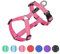 EXCELLENT ELITE SPANKER No Pull Hundegeschirr Reflektierende Nylon Weste L-förmig Verstellbares Easy Pet Geschirr für kleine, mittelgroße und große Rassen Hunde Spaziergangstraining, Schwarz Rot