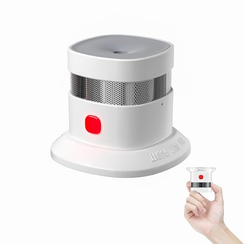 Heiman Mini Smoke Alarm for Home, 10-Year Battery Powered Firm Alarm with Photoelectric Sensor, UKCA EN14604 LPCB DBI CE Certified, Red Dot Award Winning, Independent Smoke Detector (1 Pack)