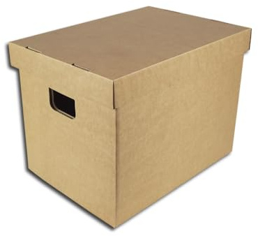 Protected Pappbox 25cm/10inch Lagerkiste