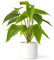 Mkono Plantes artificielles en Pot en céramique de 28 cm pour décoration d'intérieur et d'intérieur avec Pot Blanc Moderne pour Bureau, étagère, décoration de Chambre (Pothos)