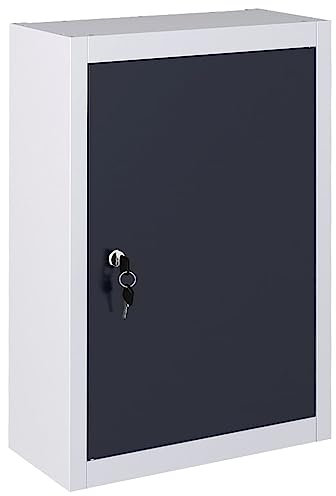 RAUGAJ Werkzeugschrank zur Wandmontage, Industriestil, Metall, Grau und Schwarz, Artikelfarbe: Grau und Schwarz