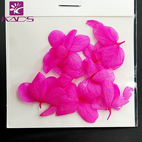 KADS 6 Colours 3D Dry Real Dried Flower Nail Art Tips DIY Decoration UV Gel Acrylic False Tips Nail Art Salon (Rose Red)