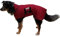 Beckers Beste Tiernahrung - Wasserdichter Hundemantel Bordeaux mit individueller Größeneinstellung - Regenmantel - Hundejacke für kleine, mittelgroße und große Hunde