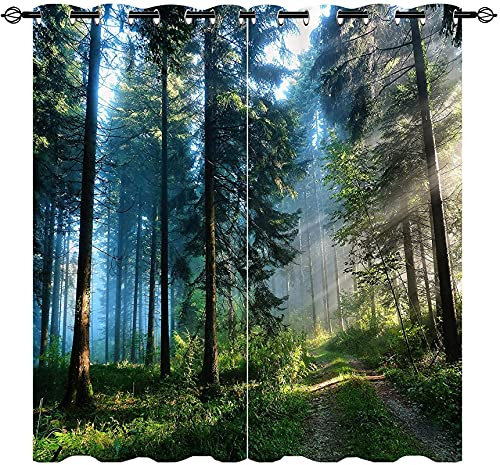 LKCD Verdunkelungsvorhang Mit Ösen, Wald Naturlandschaft Nebelwald Sonnenschein Baum 300X270Cm Vorhang, Blickdicht, Wärmeisolierend, Vorhang, Polyester Für Kinderzimmer, Schlafzimmer, Verdunkelung, 2E