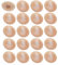 cyclingcolors 20x Abdeckkappen Schrauben Kunststoff 11.5mm Kreuzschlitz pz2 Holz schraubenkappen, Beige