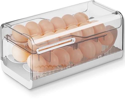 Eierhalter für Kühlschrank, 2 Ebenen, automatischer Eierroller, Kühlschrankbehälter, Eierspender, große Kapazität, spart Platz für Kühlschrank und Arbeitsplatte