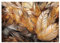 WallArena - Vlies Fototapete Federn 3D Effekt Abstrakt Gold 312x219 cm - Fototapeten - Tapeten - für Wohnzimmer Schlafzimmer - Vliestapete Wandtapete Tapete 3D Effekt- inkl. Kleister