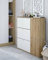 Dmora - Scarpiera Tok, Scarpiera da ingresso a 4 ante, Armadio portascarpe salvaspazio, 105x24h112 cm, Bianco e Rovere
