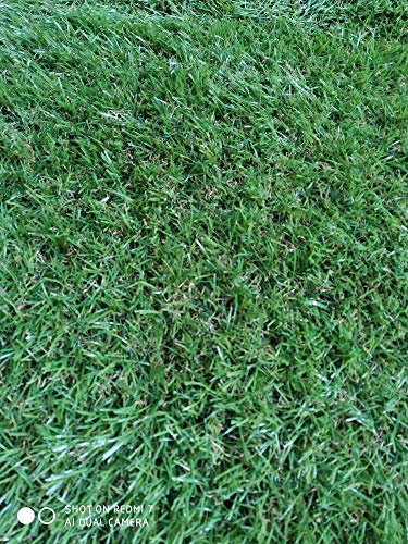 Rollo de césped artificial de 30mm (1x5 Metros)