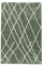 RugVista, Shaggy Tangier, Teppich, Hochflor, 200 x 300 cm, Rechteckiger, Oeko-Tex Standard 100, Polypropylene, Flur, Schlafzimmer, Küche, Wohnzimmer, Dusty grün