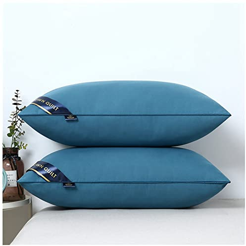 MISSMAO Oreiller 48x74 Lot de 2 pour Le Lit Coussins pour Dormir et Décoratifs Antiallergiques Anti-Acariens et Rafraichissant Rectangulaire Oreillers de Lit,Bleu,48x74cm(500g)