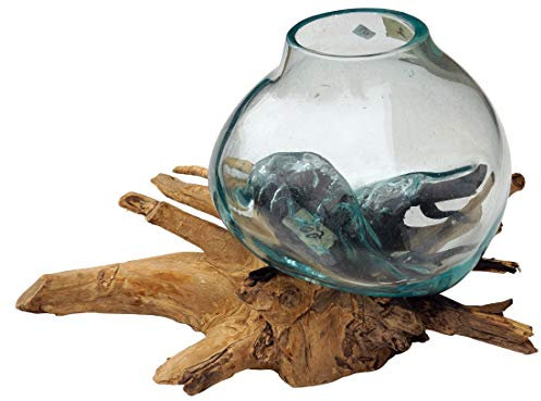 Guru-Shop Vase en Bois de Ronce - 1 x Ø Verre Jusqu`à 10 cm, Marron, Vases Pots de Fleurs