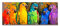 GEMMII Graffiti Bunte Papageien Wandkunst Leinwand Druck Wandbild, Moderne Tiere Regenbogen Vögel Bild Heimdekoration Leinwanddruck Poster 60x180cm Rahmenlos