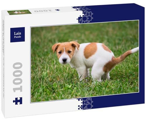 Lais Puzzle Niedlicher Jack Russell Terrier Hundewelpe bei der Toilette, beim Kacken 1000 Teile