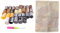 Lobamop Latch Hook Kits Rug Making Kits DIY for Kids/Adults with Printed Canvas Pattern Animals Carpet Embroidery 2 Lion