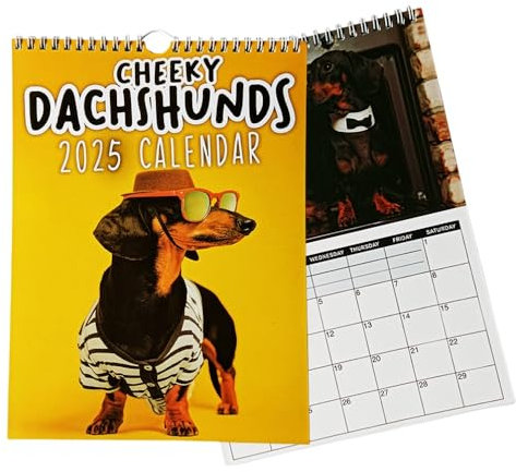 Yuandream Hunde kalender 2025, Kalender 2025 Wursthund Wandkalender 2025 Hundekalender 2025, 12 Monat Lustiger Haustier Kalender, Lustiger 2025 Hündchen Wandkalender für Büro, Familien, Hotels