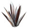 esmen Gartenstatue 2 Stück Tequila rustikale Skulptur Wohnkultur DIY handbemalte Metall Agave Pflanzen Outdoor Garten Rasen Ornamente Hofdekoration