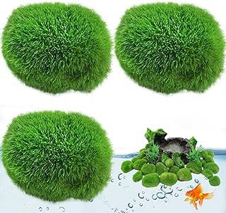 4 pcs Moos Aquarium Moos Echt - Mooskugeln Für Aquarium Echt Natürliche Wasserpflanzen Für Nano- Und Große Aquarien - Umweltfreundlich Und Nachhaltig Marimo Moss Balls Gr. 2-3.5 Cm (8PC, 2.5-3cm)