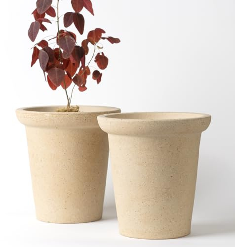 Nipots 2 Pack Terracotta Clay Plant Pots with Drainage, Breathable Water-Absorbing Planters for Healthy Roots, Deep Flower Pots for Indoor and Outdoor Gardening, Beige