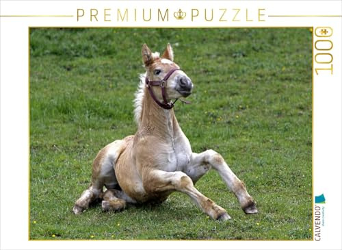 CALVENDO Puzzle Jütländer-Fohlen | 1000 Teile Lege-Größe 64 x 48 cm Foto-Puzzle für glückliche Stunden