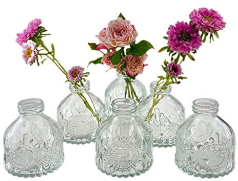 Hovico Glass Bud Vases Set of 6,Mini Vintage Bottles,for Home Wedding Party Event Office,Petite Modern Glass Flower Vase Floral Arrangements (Transparent)